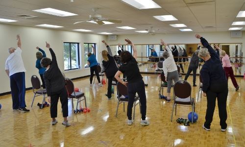 Seniors in Motion (500x300)