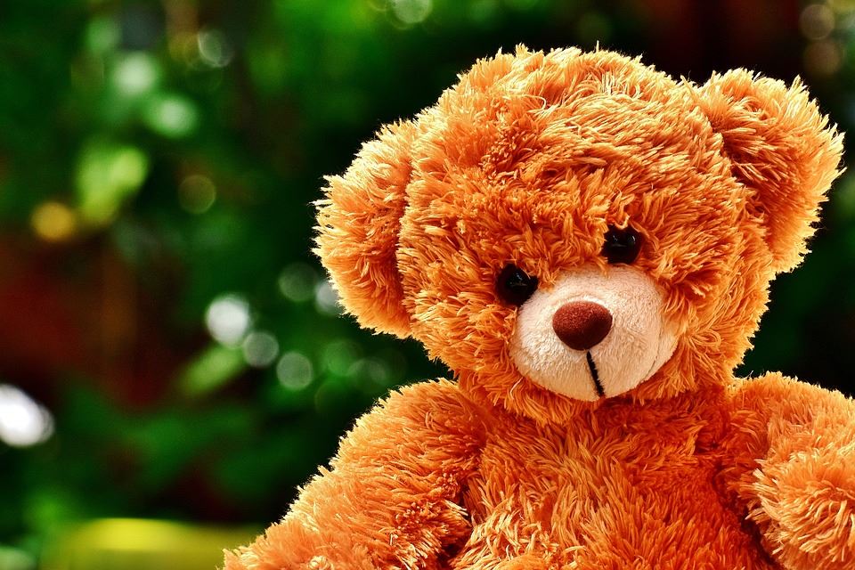teddy-bear