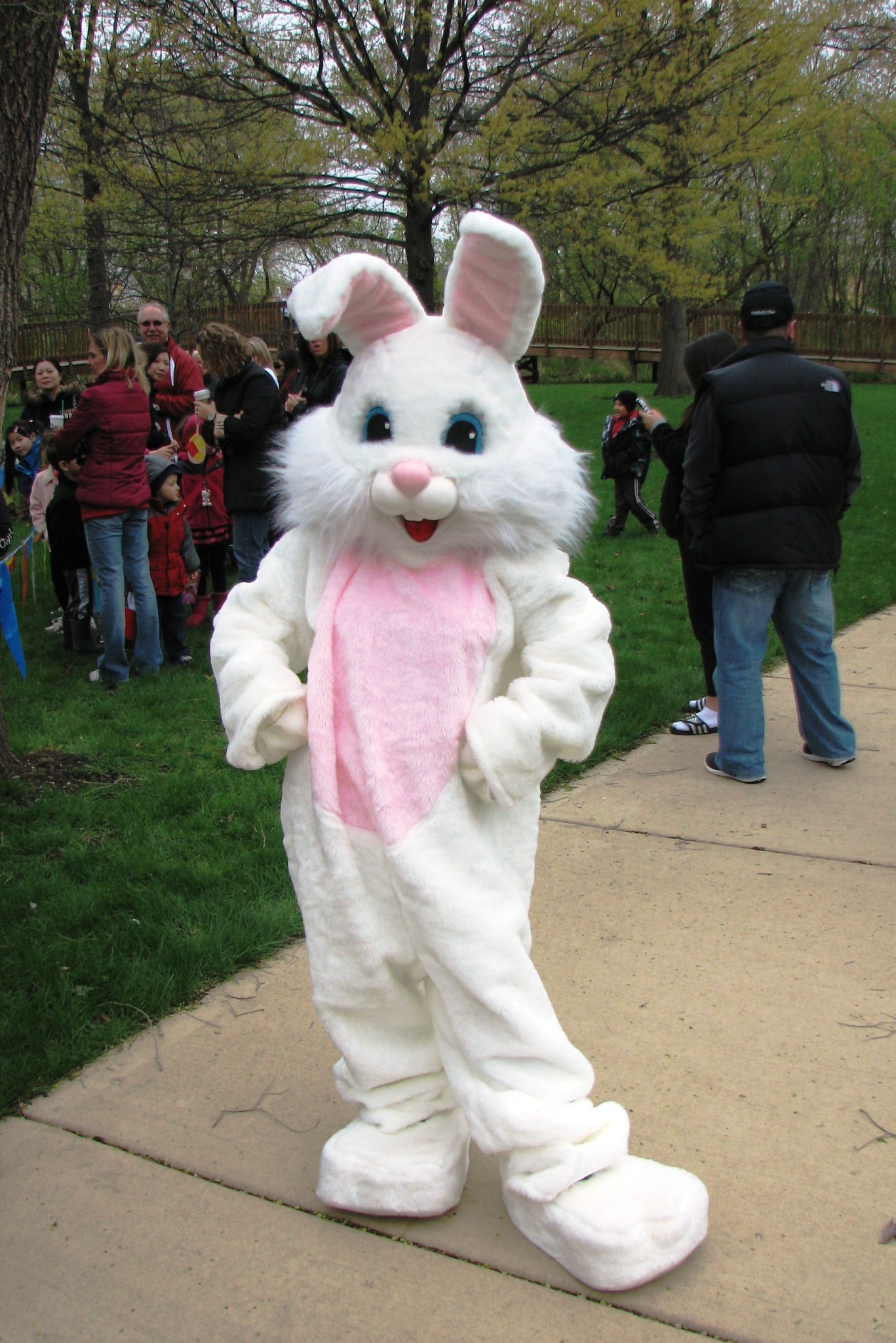 Man Dressed as Easter Bunny