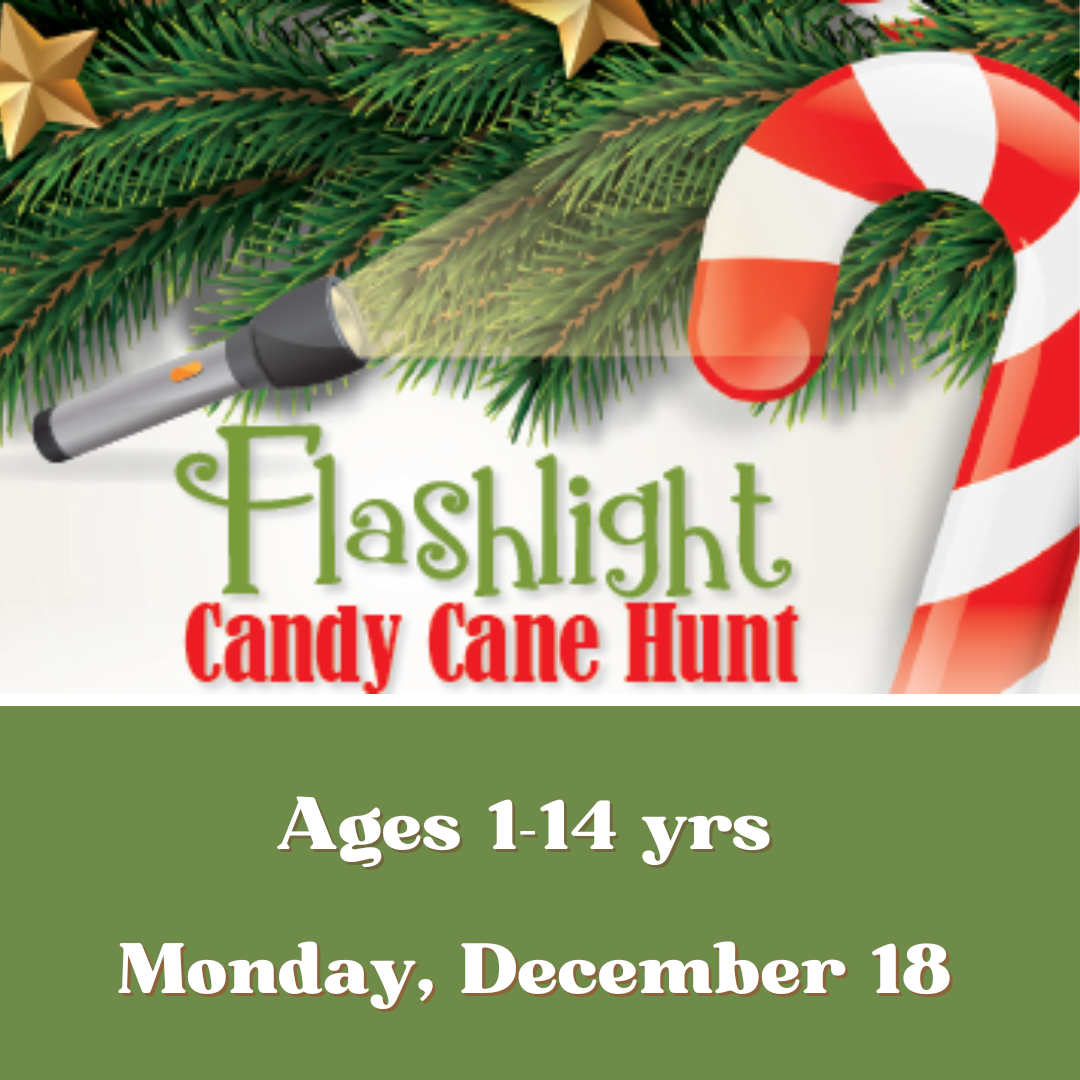 flashlight hunt